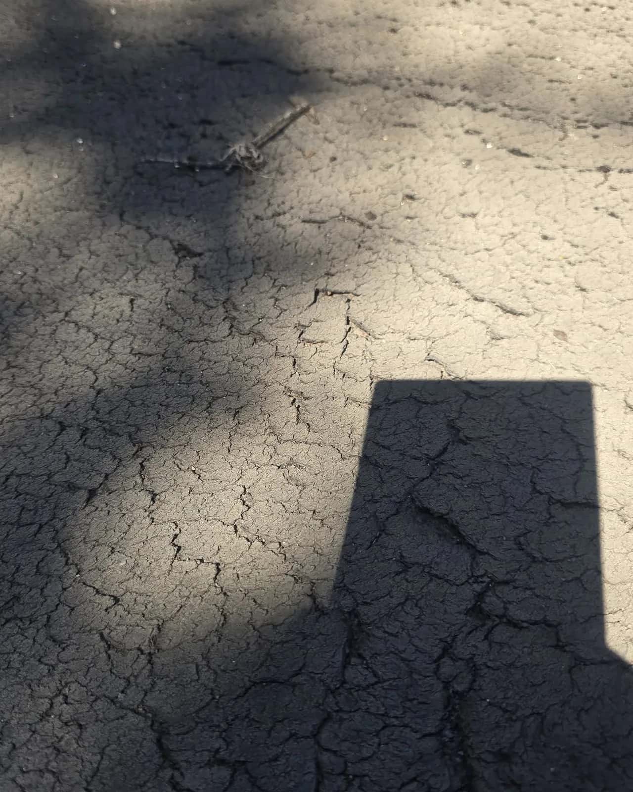 Close view of alligator cracking on an aged low-slope roof surface, a sign the flat roof is due for replacement