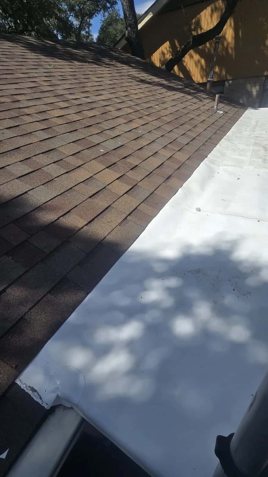 White low-slope membrane meeting a brown architectural shingle slope under live oak shade on a mixed roof