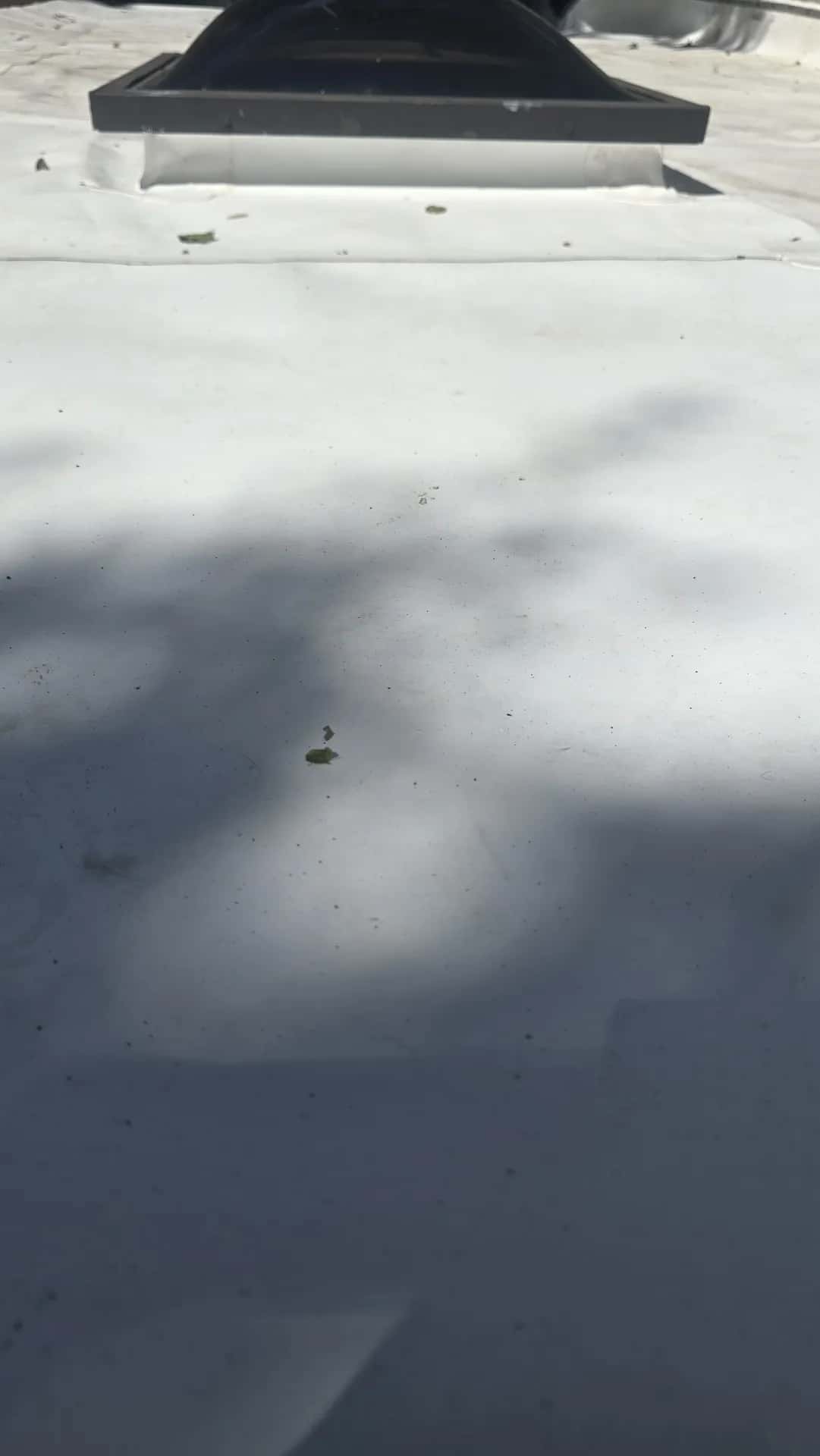 White TPO membrane roof with a flashed skylight curb and tree shadows across the surface